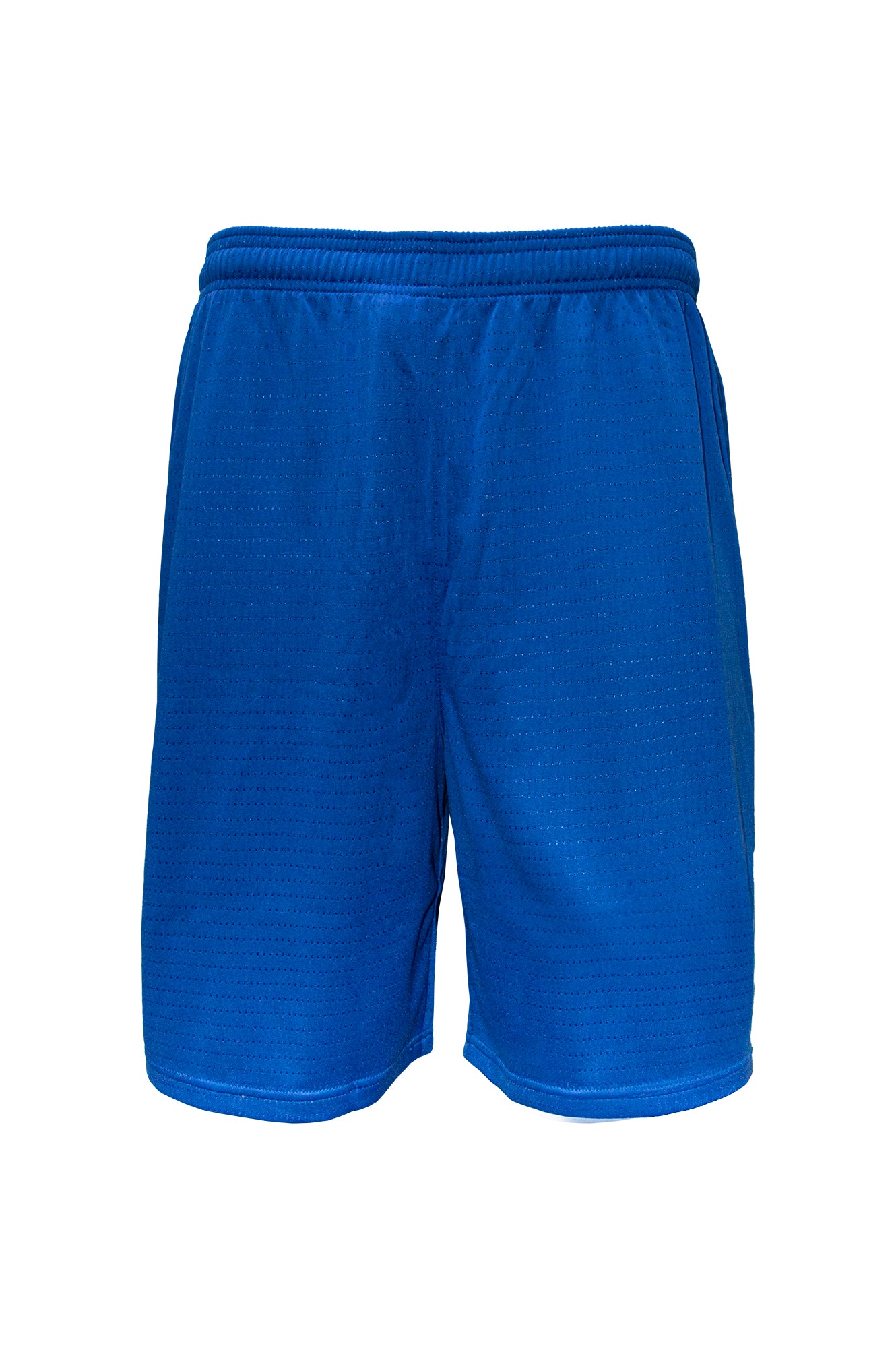 Swish Boys Basketball Shorts Royal - Main Image
